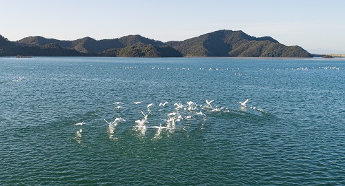 江銅集團(tuán)德興銅礦4號(hào)庫(kù)-1.jpg